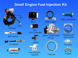 small engine efi ecotrons