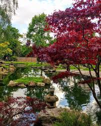 Kyoto Garden Summer Kyoto Garden Japanese Garden Pretty Trees