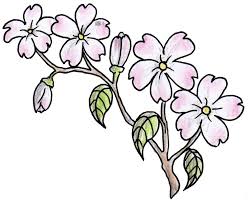 Simple linework flowers cost the shop minimum or can be inked occasionally at special promotional prices. How To Draw A Rose Tattoo How To Images Collection