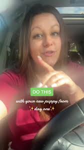 Puppy owners , do THIS from day one #mypuppy #puppylove #puppylife  #puppytraining #puppytrainingtips #puppyoftheday #lifeofapuppy  #puppytraining101 #puppytrainingseries #puppytips #newpuppy ...