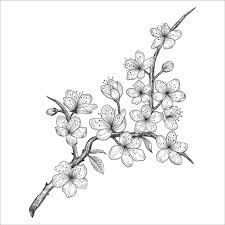 Il linguaggio dei fiori giapponese è chiamato hanakotoba. Disegni Fiori Giapponesi Da Colorare