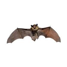 At bug busters all of our inspections are always free! About Bug Busters Environmental Pest Management Systems Environmental Pest Management