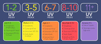 daily uv index thunder bay district health unit