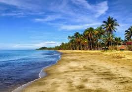 Secara umum ayam bangkok yang bagus bukan hanya di lihat dari fisiknya saja namun di nilai dari tehniknya juga. Begini Trik Foto Di Pantai Untuk Hasil Yang Indah Jarang Yang Tau Shellyloch Com