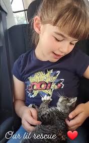 Fate Leads Woman To Kitten Tortured With Rubber Cement On His Mouth