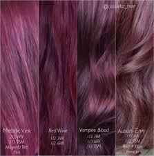 20 Ideas Hair Red Purple Brown Colour Hair Color Formulas Wine Hair Violet Hair Colors