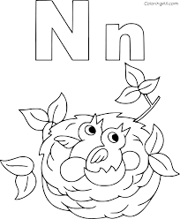 Download nest coloring page and use any clip art,coloring,png graphics in your website, document or collection of nest coloring page (25). N Is For Nest Coloring Page Coloringall