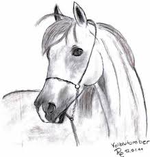 Dibujos De Caballos Caballos Para comenzar a realizar dibujos a lápiz, necesitas de dos materiales o herramientas mínimas para llevar a cabo esta además de los lápices, también vas a necesitar la goma, que tiene que ser una especial para dibujo. dibujos de caballos caballos