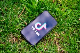 He tweeted byte's out with a link to the app's landing page: A Guide To The Tiktokish Apps That Want To Be The Next Tiktok Mit Technology Review