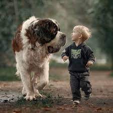 Photographer Shows How Gentle Big Dogs Are Towards Their Little Humans Dogs And Kids Big Dogs Animals For Kids