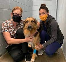 Featuring a variety of services, huntington beach veterinary is dedicated to serving all of orange county's residents. Temple City Animal Hospital 157 Photos 289 Reviews Veterinarians 5406 Rosemead Blvd San Gabriel Ca Phone Number Yelp