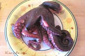 We did not find results for: Pin Su Idee