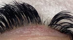 Check spelling or type a new query. Thinking About Getting Eyelash Extensions Everything You Need To Know Before You Go