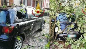 Dalle 16.40 i vigili del. Maltempo In Provincia Di Belluno Oltre 50 Interventi Dei Vigili Del Fuoco Nordest24