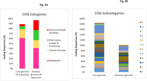 Share your videos with friends, family, and the world Pan Genome Analysis Of Mycobacterium Tuberculosis Identifies Accessory Genome Sequences Deleted In Modern Beijing Lineage Biorxiv