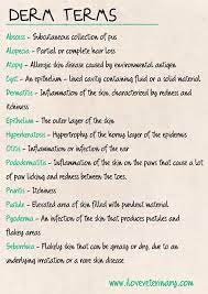Dermatology Terms Vet Medicine Vet Tech School Vet Tech Student