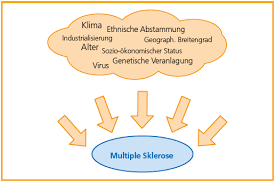 Jul 20, 2021 · multiple sklerose (ms) ist eine entzündliche erkrankung des zentralen nervensystems, die gehirn und rückenmark betrifft. Ursachen Und Risikofaktoren