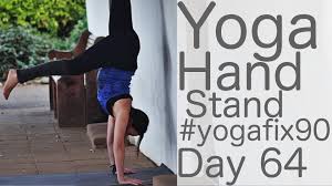 Yoga Handstands Yay Day 64 Yoga Fix 90 With Lesley Fightmaster Yoga Handstand Yoga Fitness Yoga Videos