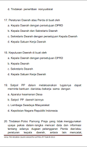 Pin Di Pamong Praja