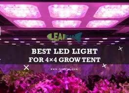 In my opinion one of the coolest features of the taotronics 24w led grow light bulb is the fact that it can be plugged into any light socket. Taotronics Review Are These Cheapest Led Grow Lights Worth It