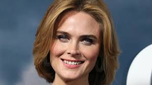 Image result for Emilia debilis