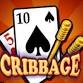 100% Payout Singles Cribbage Tournament event image