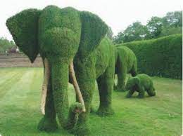 The Garden Elephants Elephant Beautiful Gardens Topiary