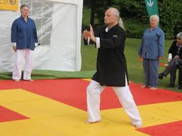 Innere stile, weiche kampfkünste, soft martial arts. Judo Club Langenfeld E V