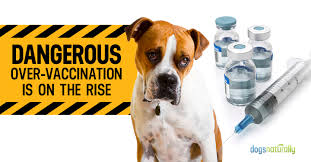 Low cost, discount pet vaccines, cheap dog and cat and pet vaccines in southern california. Dangerous Over Vaccination Is On The Rise Dogs Naturally