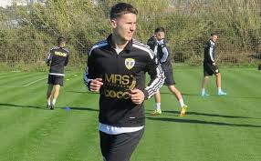 VOŽDOVAC SE OSIPA: Posle Hajdina otišao i Purtić! – BUTASPORT.RS