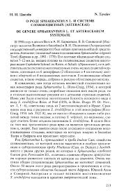 Image result for Sphaeranthus chandleri