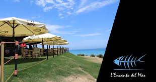 We did not find results for: Pizza A 2 Euro Dal Ristorante Il Volo Vieni A Cagliari Sihappy