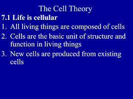 Chapter 7 1 life is cellular worksheet answer key is available in our book collection an online access to it is set as public so you can download it instantly. Ppt Biology Warm Up Powerpoint Presentation Free Download Id 1347195