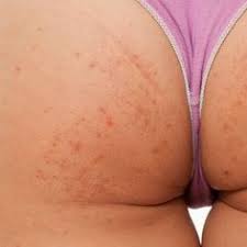 Emuaid.com has been visited by 100k+ users in the past month Skin
