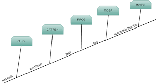 Cladogram