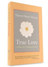 He lives in plum village in southwest france. Thich Nhat Hanh The Guide To His Works Shambhala