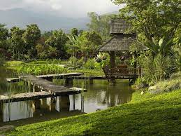 Sanctuary In The Foothills Of The Himalayas Farm Resort Chiang Mai Scenery