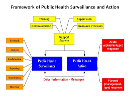 Pin Van Peter Achterberg Op Conceptual Models Health