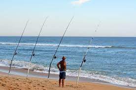 5 Best Surf Rods For The Money