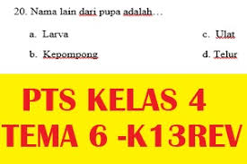 Soal Pts Uts Kelas 4 Tema 6 Semester 2 K13 Tp 2019 2020 Latihan Soal Honorer Brilian