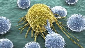 Image result for Immunotherapy