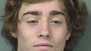 Palm Beach police: Teen crashed stolen SUV; passenger also charged