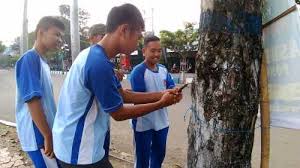 Merupakan salah satu sekolah menengah yang berada di ponorogo, provinsi jawa timur. Ratusan Murid Smkn 2 Ponorogo Cabuti Paku Di Alun Alun Kota Reog Teras Id