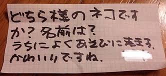 家にくる猫の首輪に 手紙 を結び付けると 迎えた結末に ８万人がじんわり 手紙 教訓 ライフ
