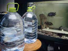Distilled Water For Aquariums Is It Good For Your Fish Tank