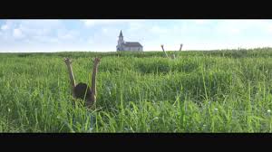 Check spelling or type a new query. In The Tall Grass 2019 Imdb