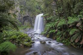 Time Lapse Photo Of Waterfall Surrounded With Trees Hopetoun Hopetoun Hopetoun Falls Time Lapse Photo Waterfall Waterfall Time Lapse Photo Places To See
