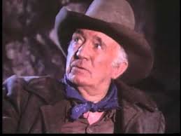 THE GUNS OF WILL SONNETT western TV show