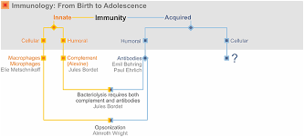 Paul ehrlich was born into a comfortable, lively household in a country town in prussian silesia, about twnty miles south of breslau. Frontiers Immunology S Coming Of Age Immunology