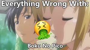 Why is boku no pico bad